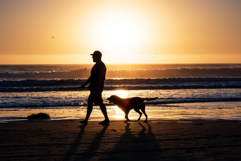West Coast Living: Is It Truly Worth the Hype?